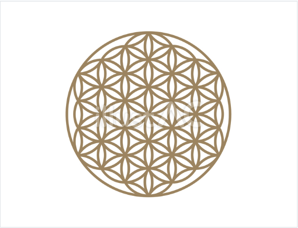 フラワーオブライフ（太）01