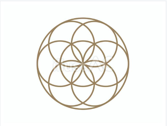 シードオブライフ（太）01