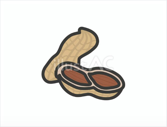 殻付きの落花生のイラスト