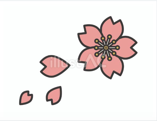 一輪の桜と花びらのイラスト