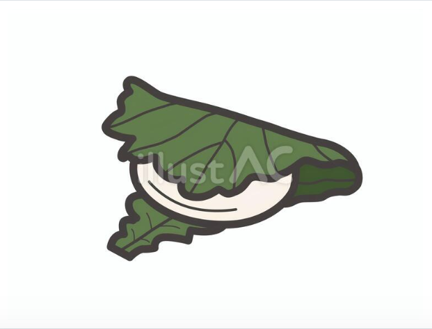 柏の葉に包まれた柏餅のシンプルなイラスト