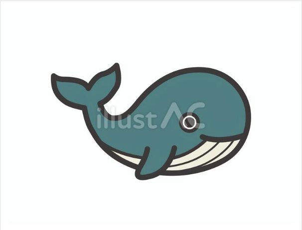 夏のイベント案内や水族館紹介に使えるかわいい右向きのクジラの無料イラスト素材